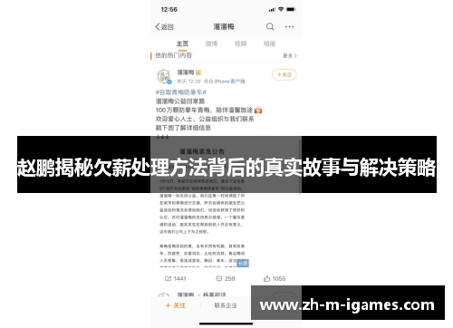 赵鹏揭秘欠薪处理方法背后的真实故事与解决策略 赵鹏揭秘欠薪处理方法背后的真实故事与解决策略