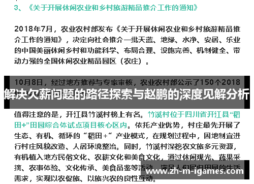 解决欠薪问题的路径探索与赵鹏的深度见解分析