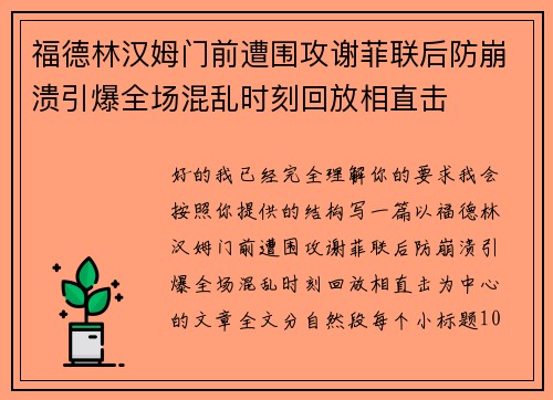 福德林汉姆门前遭围攻谢菲联后防崩溃引爆全场混乱时刻回放相直击